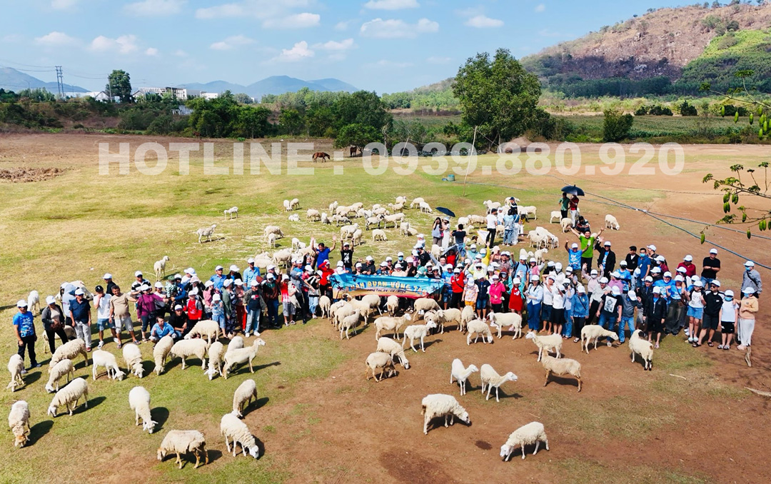Đoàn của Top Travels chụp ảnh tại Đồi Cừu Suối Nghệ