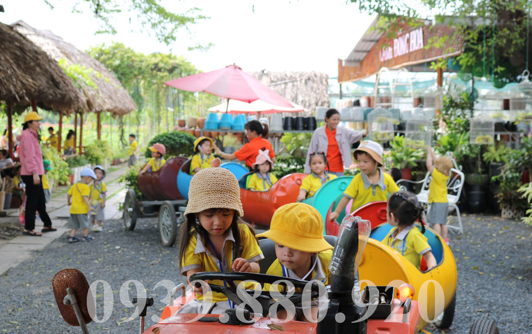 Tour Học Sinh Du Xuân Tham Quan Cánh Đồng Hoa Hóc Môn 1 Buổi - Hình 5