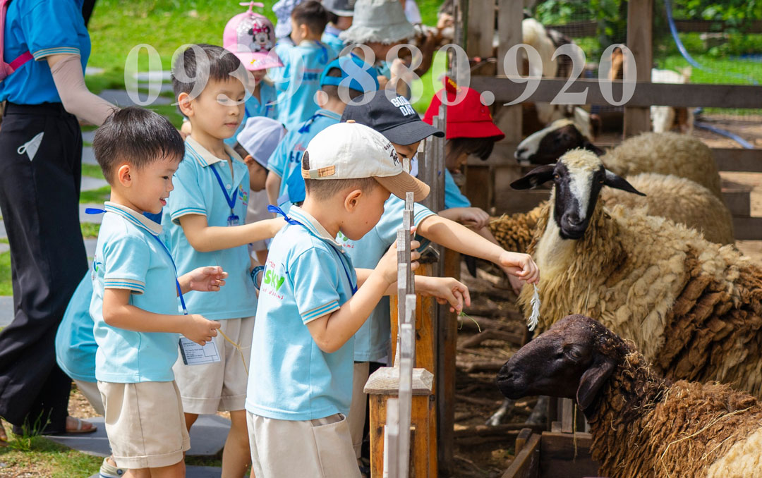 Tour học sinh tham quan Mây Farm Quận 7 - 1 Buổi - Hình 3