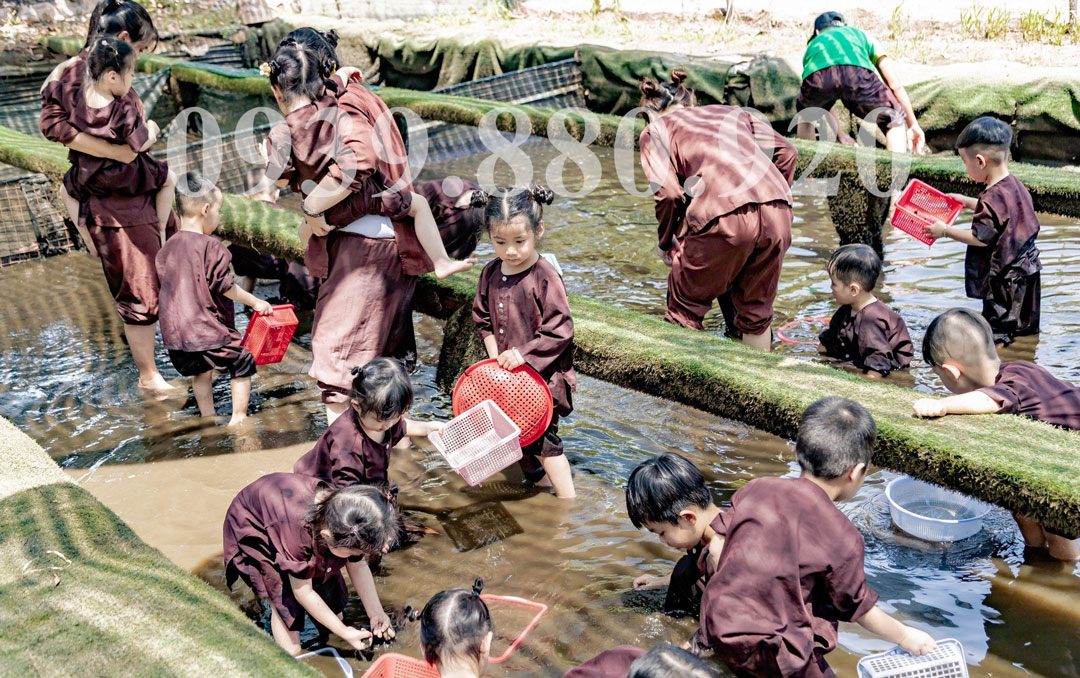 Tour học sinh trải nghiệm Nông Trại Ong Vàng 1 Ngày - Hình 3