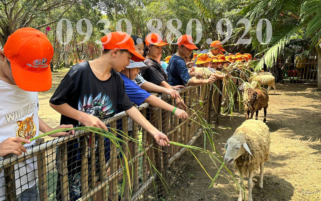 Tour Tham Quan Nông Trại Pro Farm 1 Ngày - Hình 5