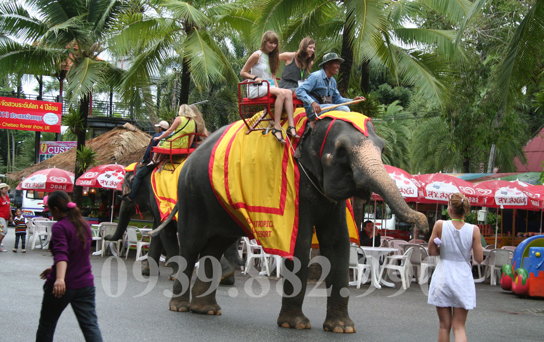 Tour Bangkok Pattaya 5 Ngày 4 Đêm: Bảo Tàng Nghệ Thuật Ánh Sáng - Hình 3