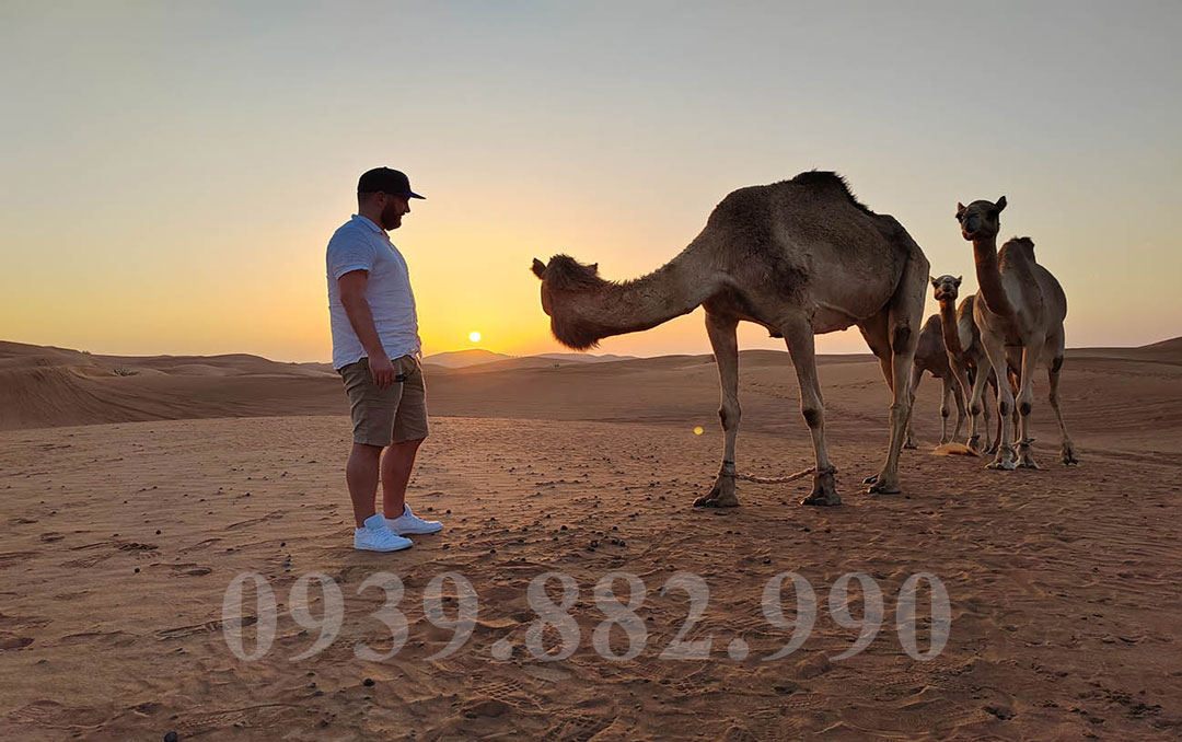 Tour Dubai Abu Dhabi 5 Ngày 4 Đêm: Khách Sạn 5 Sao - Hình 5