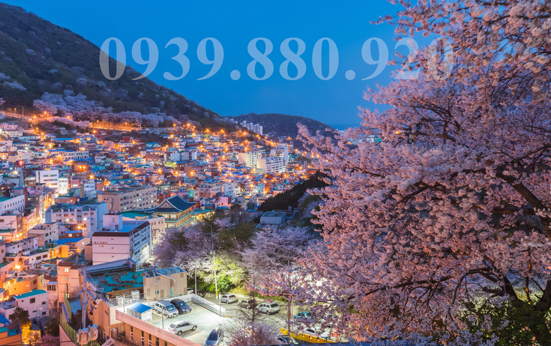 Tour Hàn Quốc 5 Ngày 4 Đêm: Busan Daegu Seoul Cung Điện Hoàng Gia - Hình 2