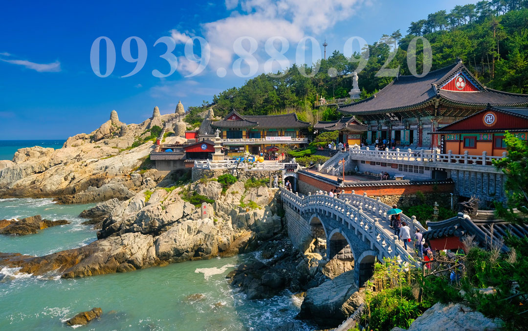 Tour Hàn Quốc 5 Ngày 4 Đêm: Busan Daegu Seoul Cung Điện Hoàng Gia - Hình 5