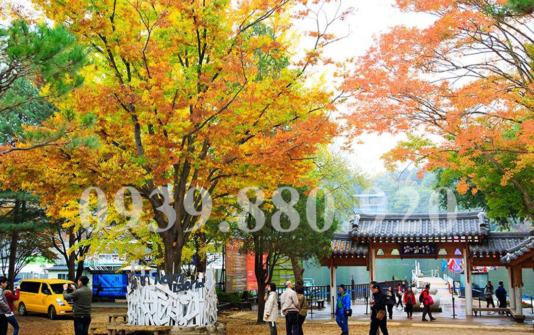 Tour Hàn Quốc 5 Ngày 5 Đêm: Seoul Đảo Nami Công Viên Giải Trí Everland - Hình 3