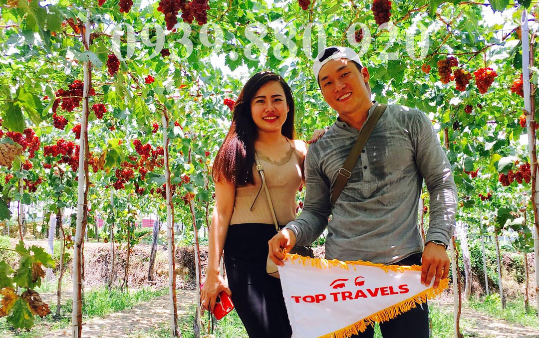 Tour Bình Ba - Bình Hưng 2 Ngày 2 Đêm Xe Giường Nằm - Hình 7