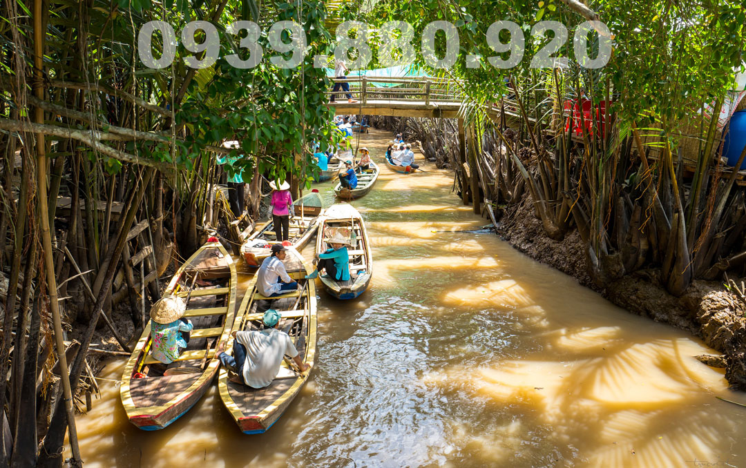 Tour Mỹ Tho Bến Tre 1 Ngày Từ TP.HCM - Hình 5