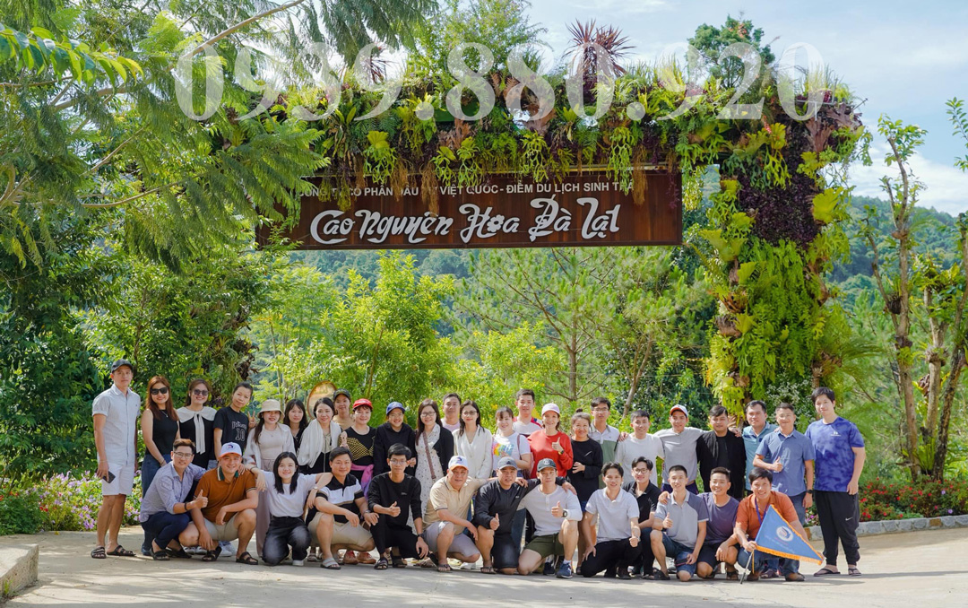 Cao Nguyên Hoa Đà Lạt - Hình 1