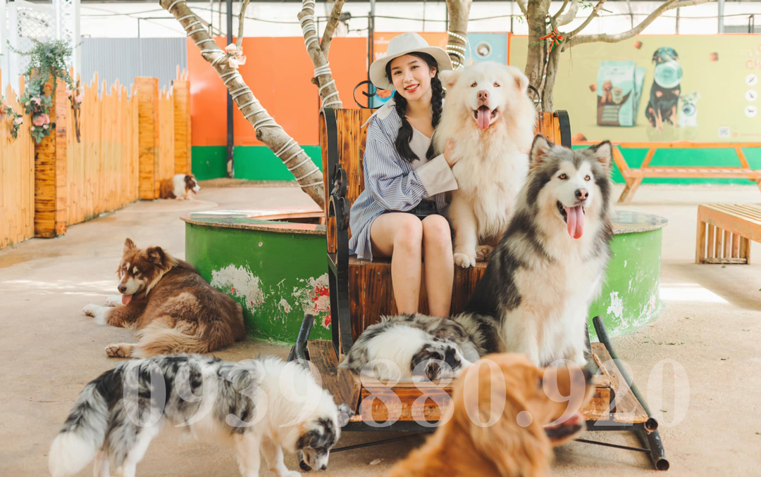 Trang Trại Cún Puppy Farm Đà Lạt - Hình 3