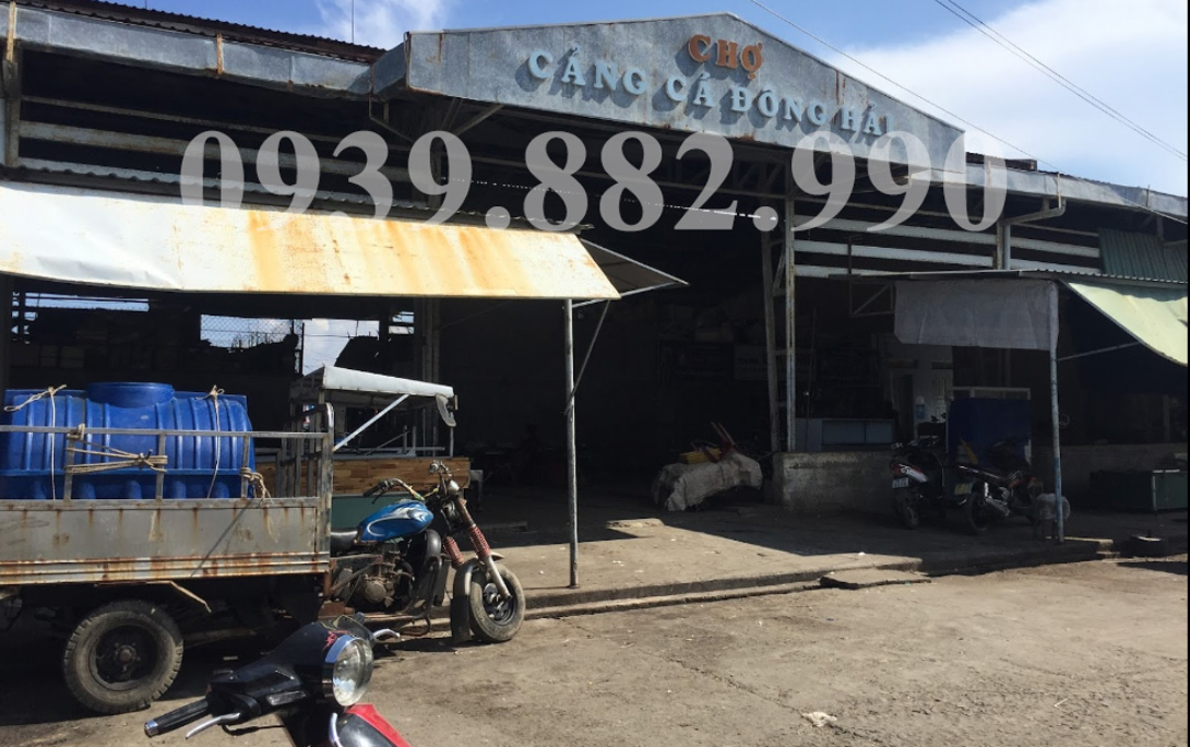 Khám phá Chợ Cảng Cá Đông Hải ở Ninh Chữ - hình 1