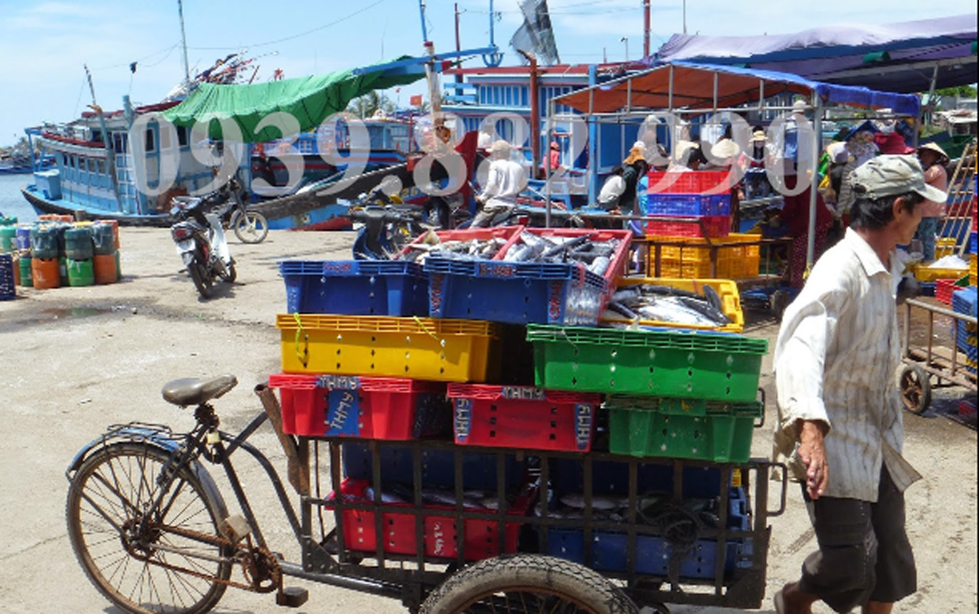 Khám phá Chợ Cảng Cá Đông Hải ở Ninh Chữ - hình 3