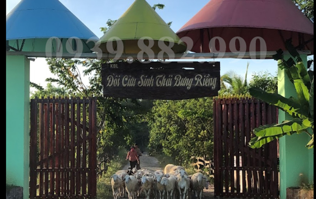 Khám Phá Đồi Cừu Sinh Thái Bưng Riềng - hình 1