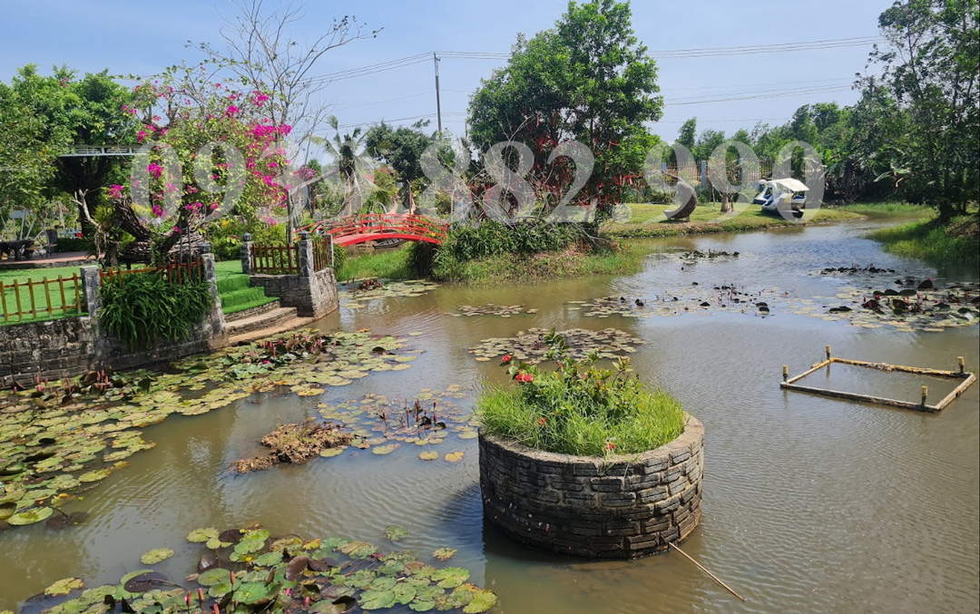 Khám Phá Đồi Cừu Sinh Thái Bưng Riềng - hình 2