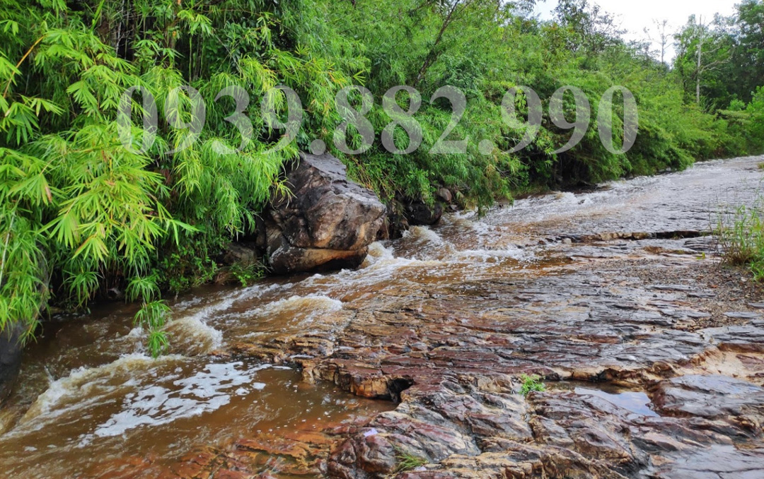 Suối Trúc Tây Ninh - hình 3