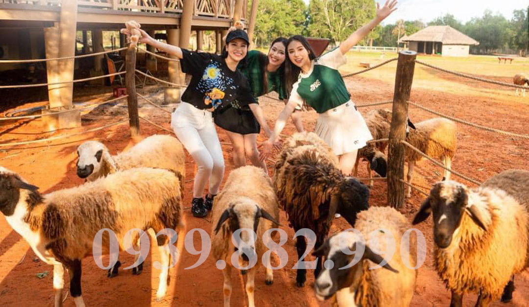 Safari Café & Zoo Phan Thiết - Hình 2