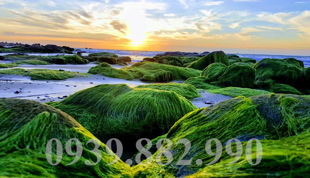 Bãi Đá Cổ Thạch Bình Thuận - Hình 2